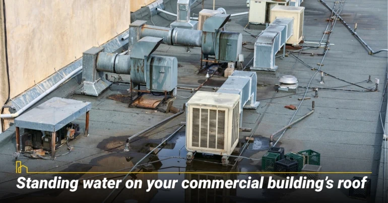 Standing water on your commercial building’s roof