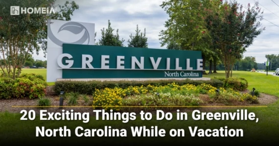 20 Exciting Things to Do in Greenville NC