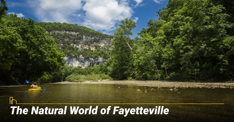 The natural world of Fayetteville