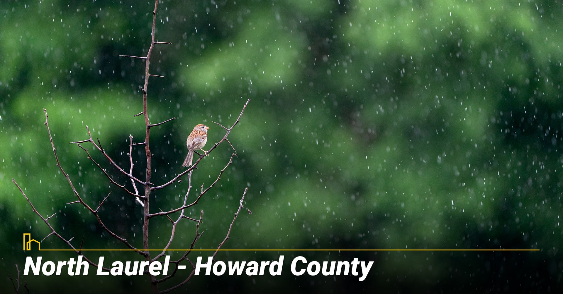 North Laurel - Howard County