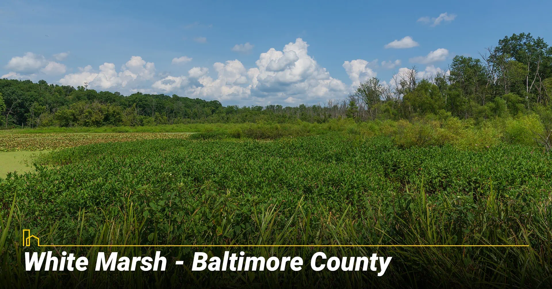 White Marsh - Baltimore County