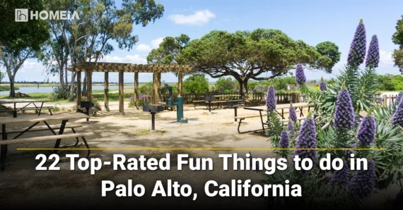 22 Top-Rated Things to Do in Palo Alto, CA