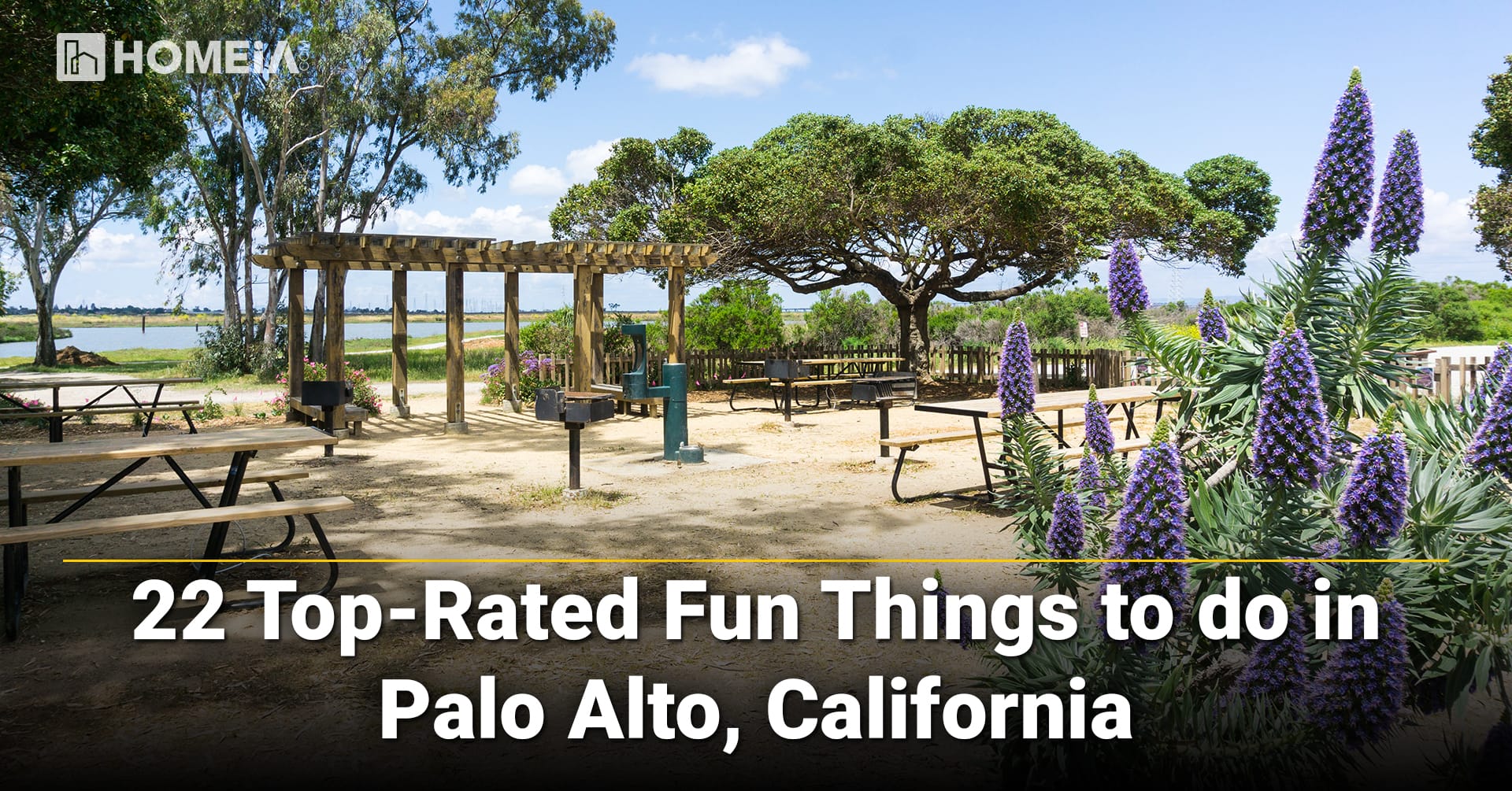 22 Top-Rated Fun Things to do in Palo Alto, California