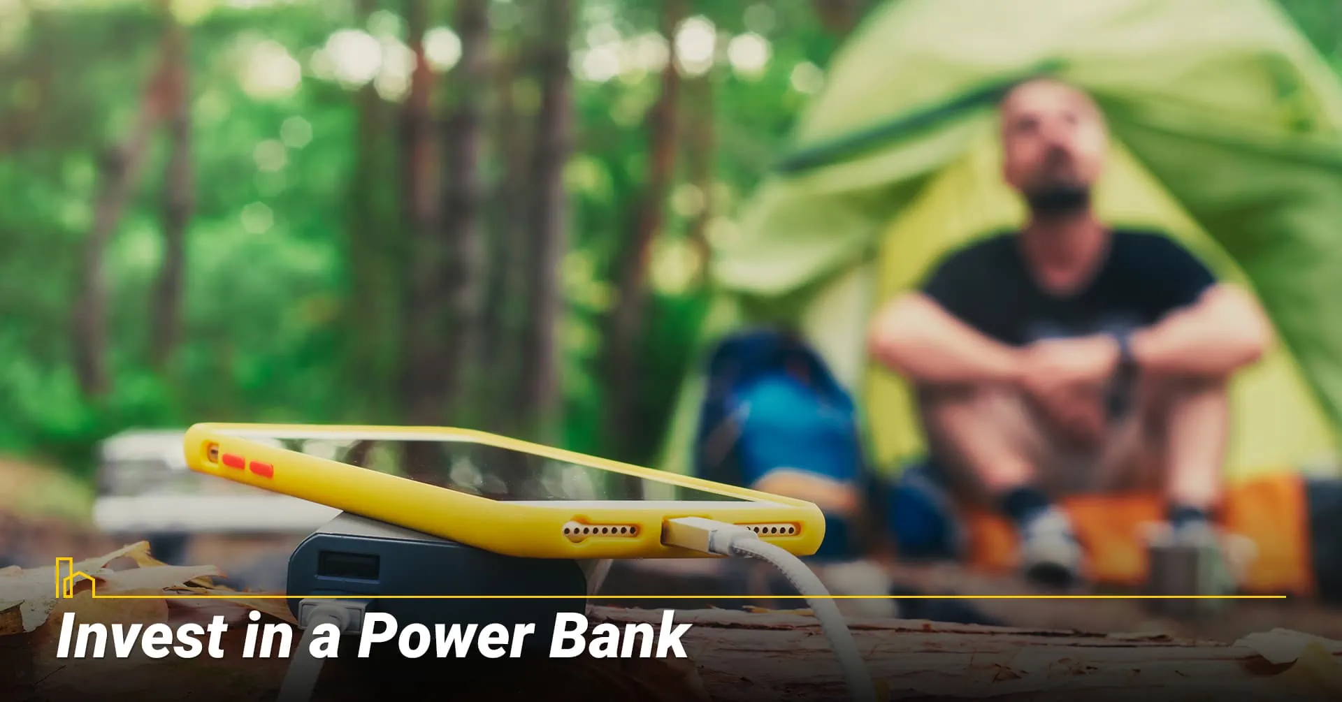 Invest in a Power Bank