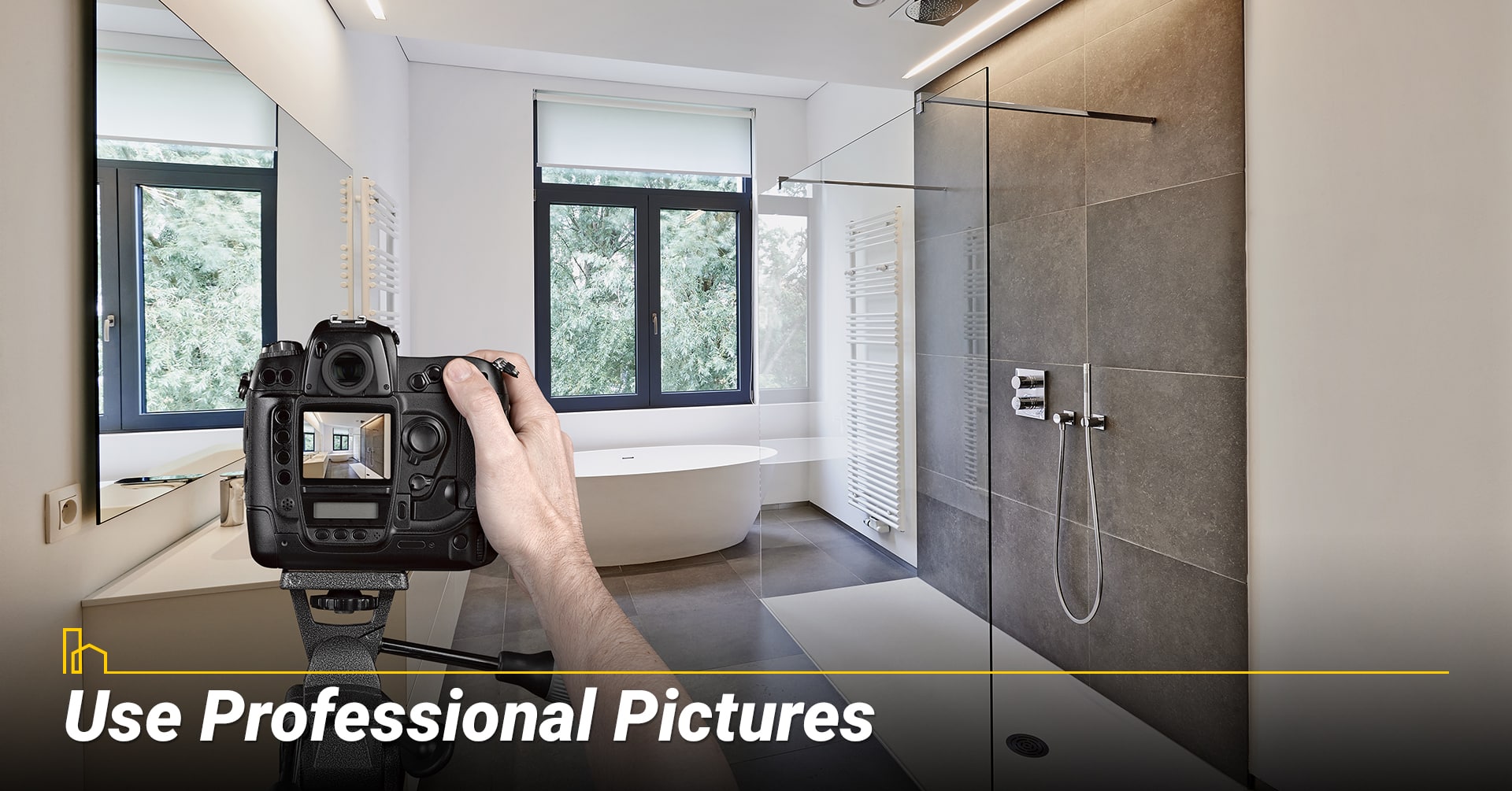 Use Professional Pictures