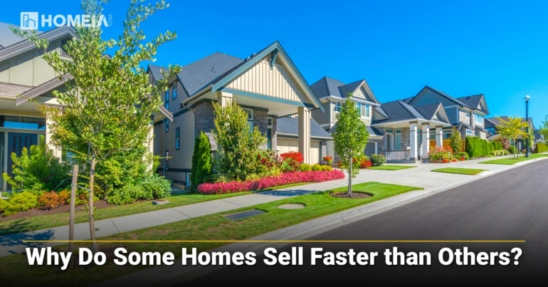 Why Do Some Homes Sell Faster than Others?