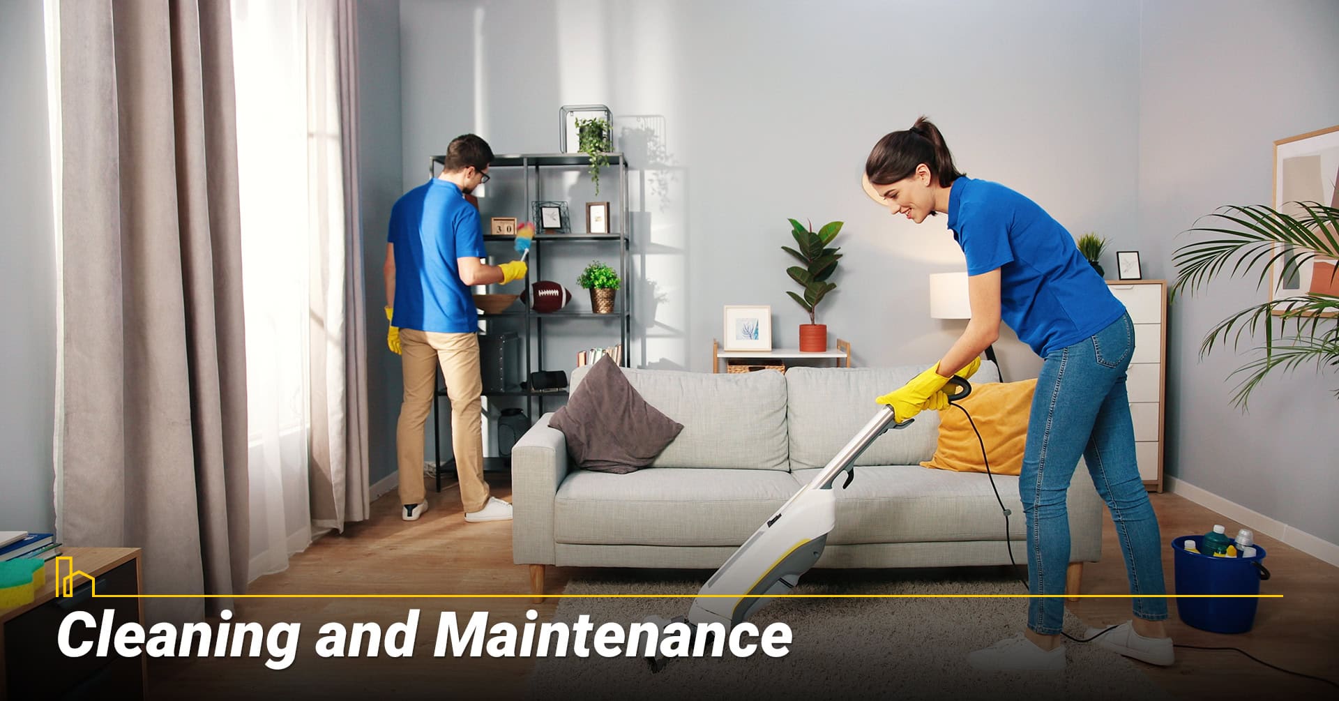 Cleaning and Maintenance