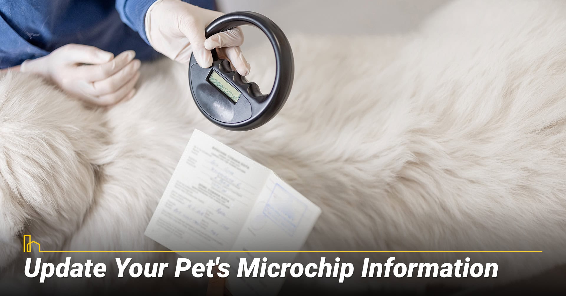 Update Your Pets Microchip Information