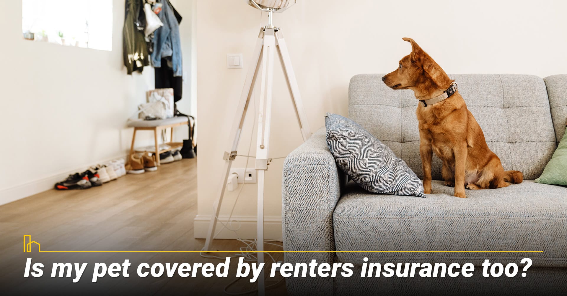 Is my pet covered by renters insurance too