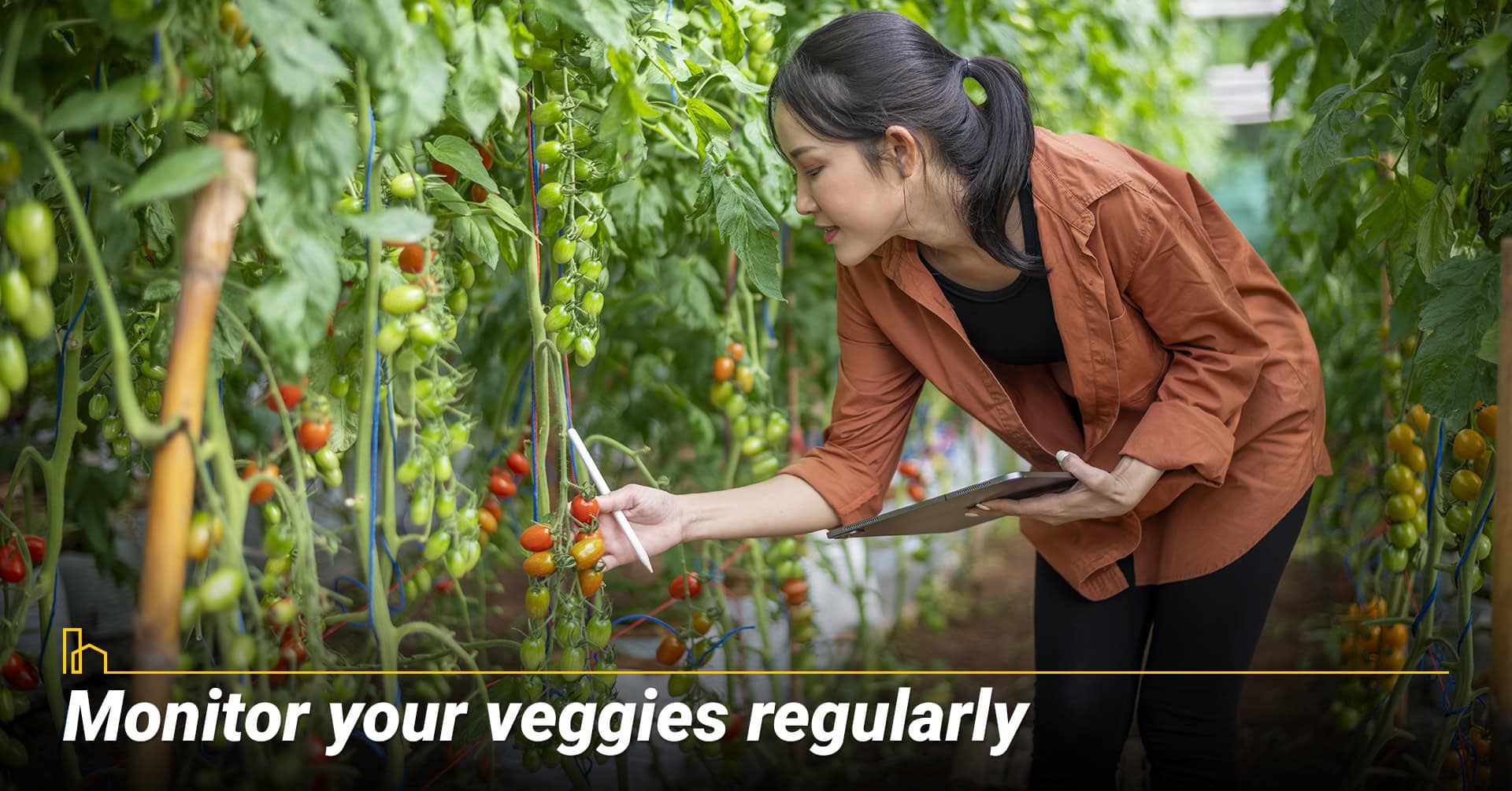 Monitor your veggies regularly