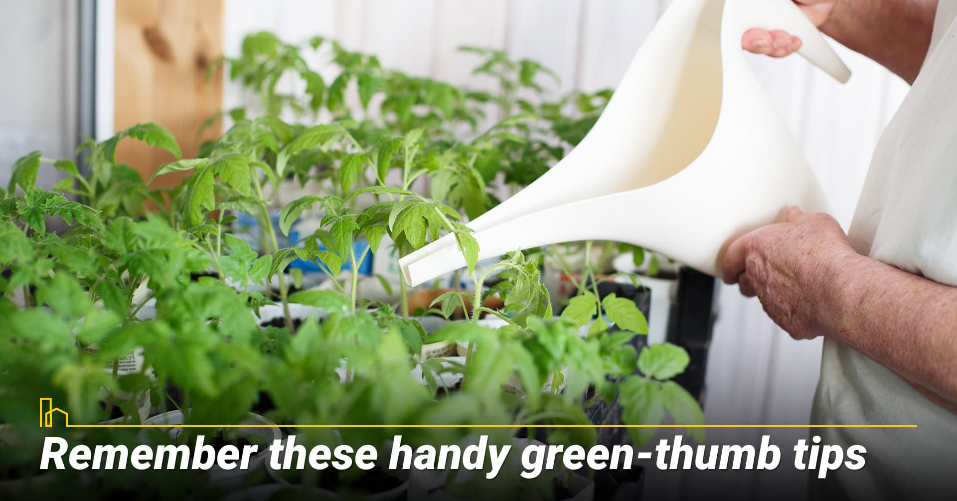 Remember these handy green thumb tips