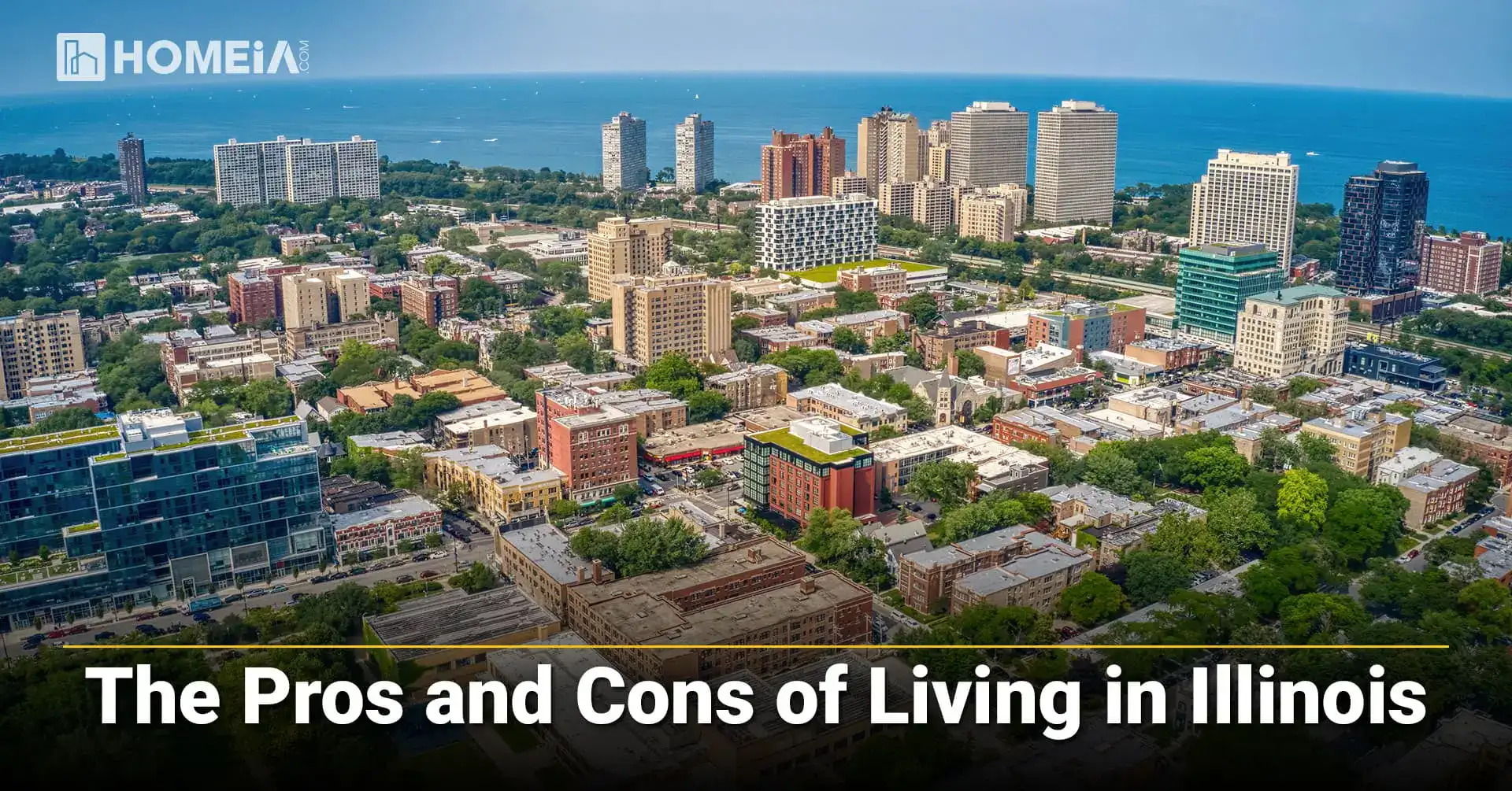 Pros and Cons of Living in Illinois