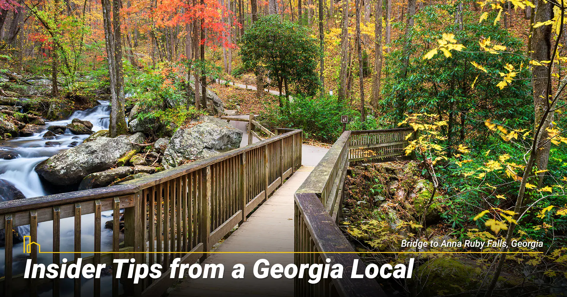 Insider Tips from a Georgia Local