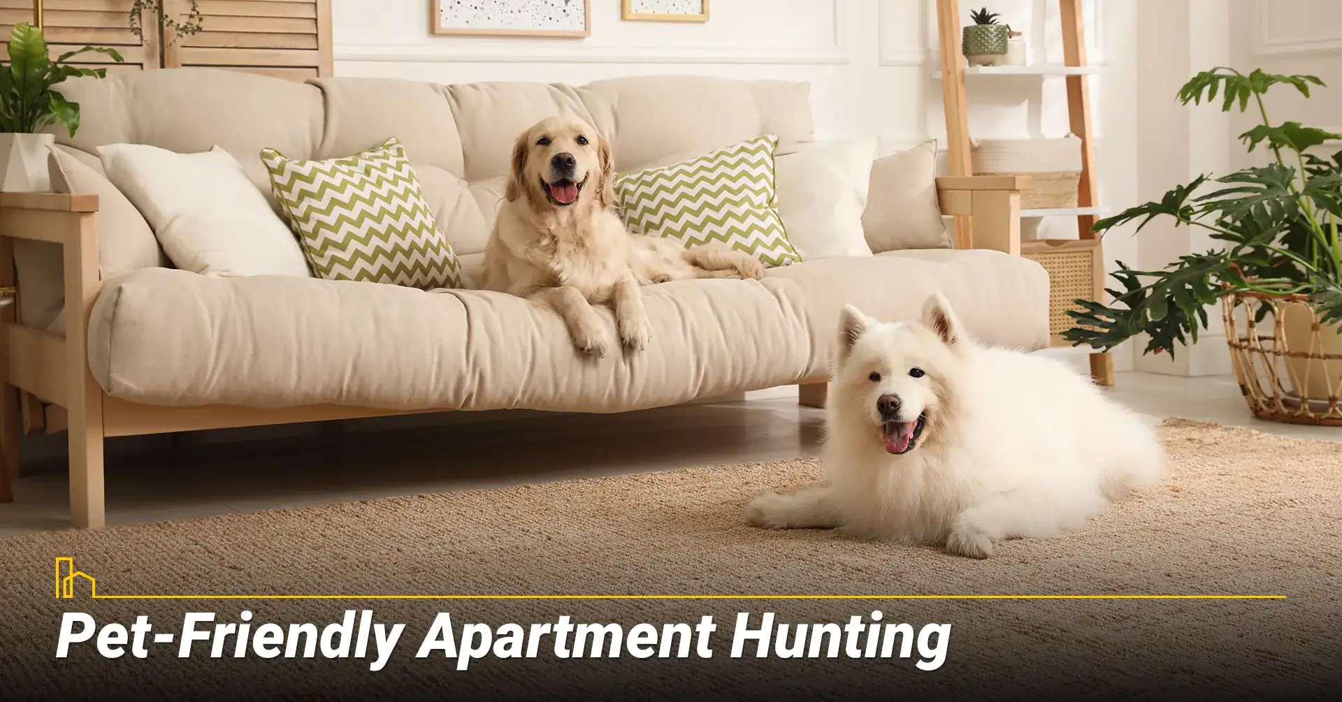 Pet-Friendly Apartment Hunting