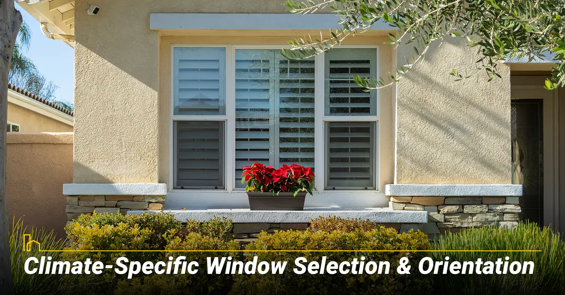 Climate-Specific Window Selection & Orientation