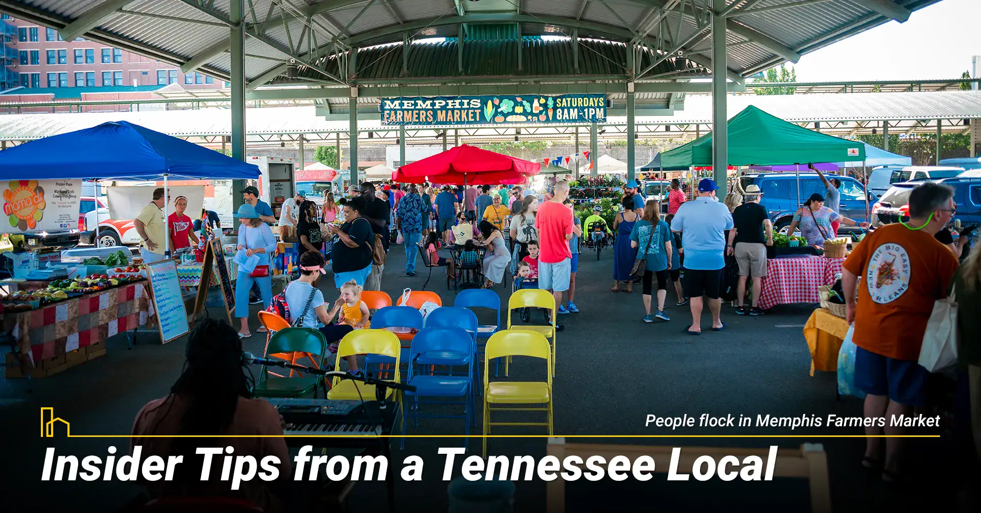 Insider Tips from a Tennessee Local