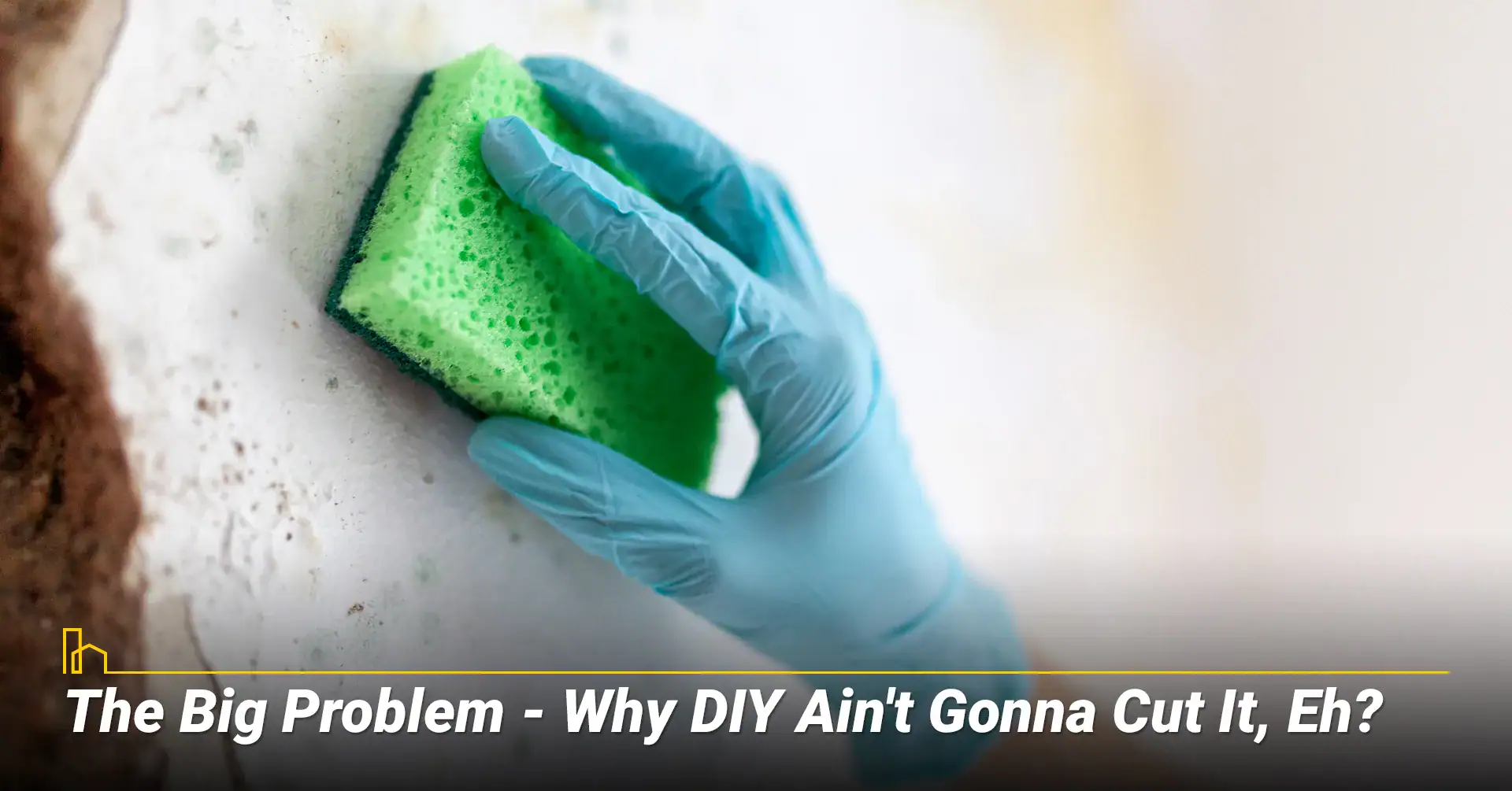 The Big Problem - Why DIY Ain't Gonna Cut It, Eh?