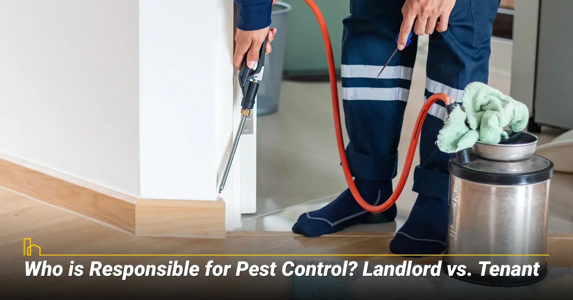 Who is Responsible for Pest Control? Landlord vs. Tenant