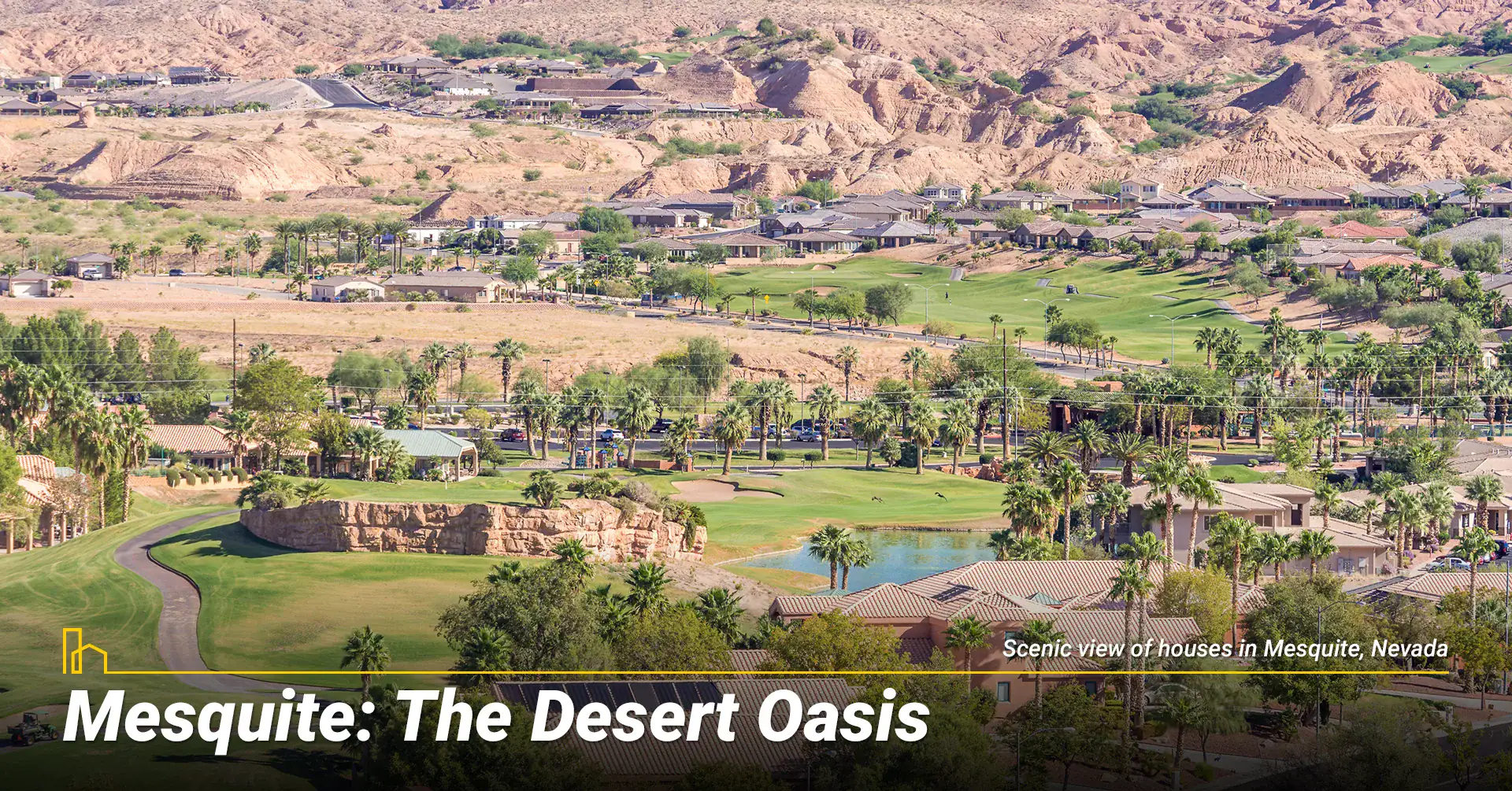 Mesquite: The Desert Oasis