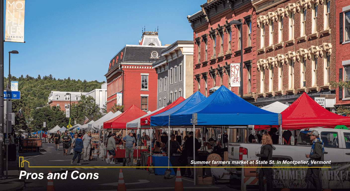 7 Summer farmers market at State St. in Montpelier Vermont